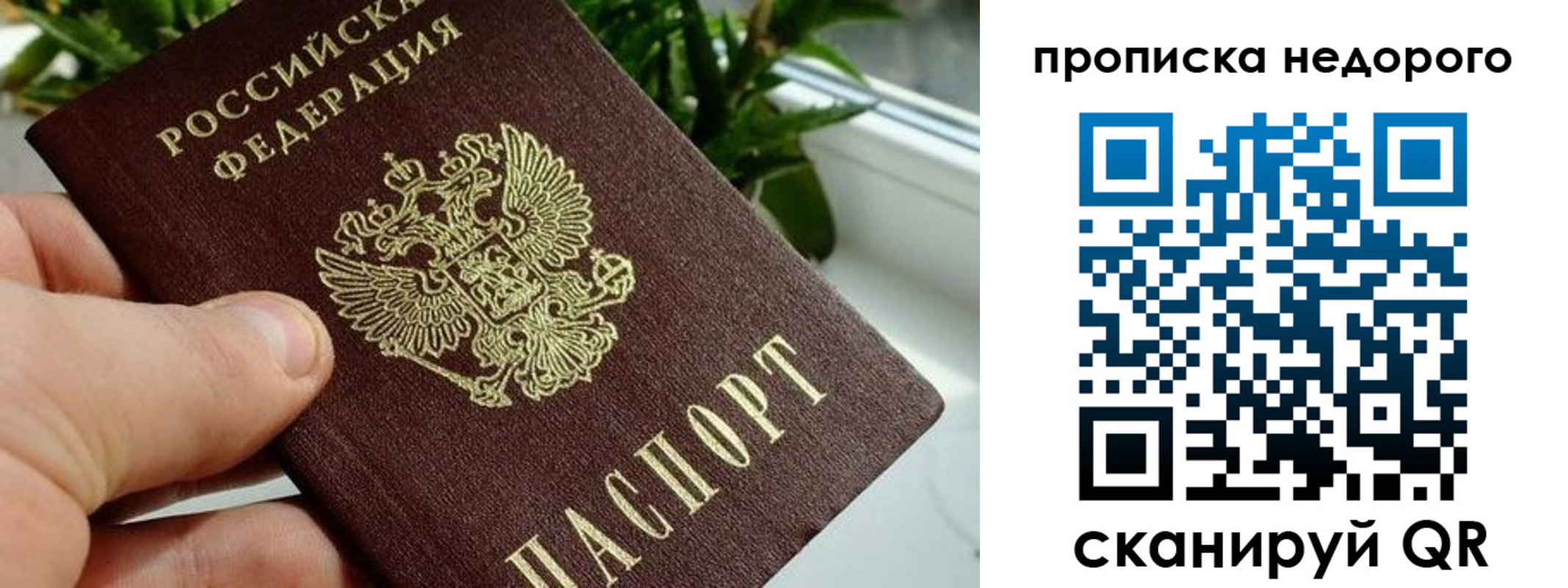 прописка для кредита в Людиново